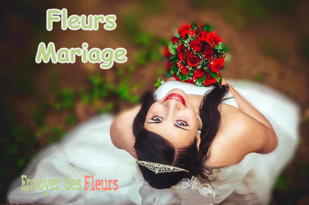 lIVRAISON FLEURS MARIAGE à LE-PLANQUAY